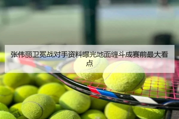 张伟丽卫冕战对手资料曝光地面缠斗成赛前最大看点