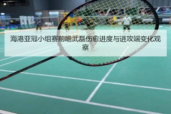 海港亚冠小组赛前瞻武磊伤愈进度与进攻端变化观察